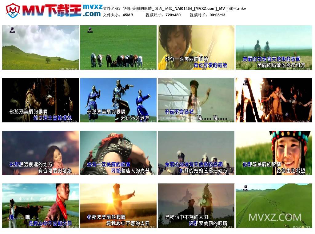 华峰-美丽的眼睛_国语_民歌_NAI01464